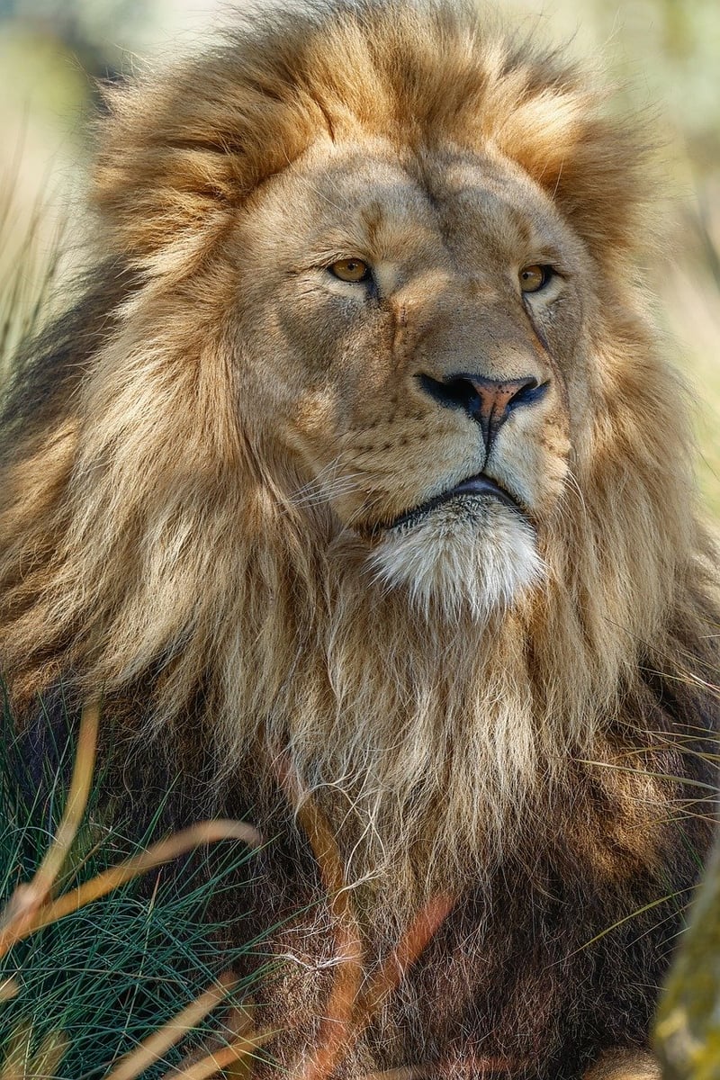 Intriguing Rumors Unveiled